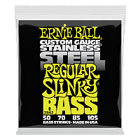 ERNIE BALL P02842