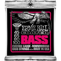 Ernie Ball 3834